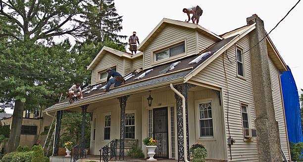 Best Metal Roofing Contractor  in Chandler, IN