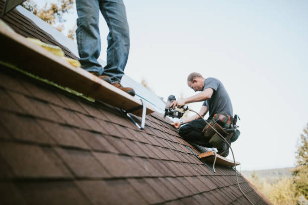 Best Residential Roofing Contractor  in Chandler, IN
